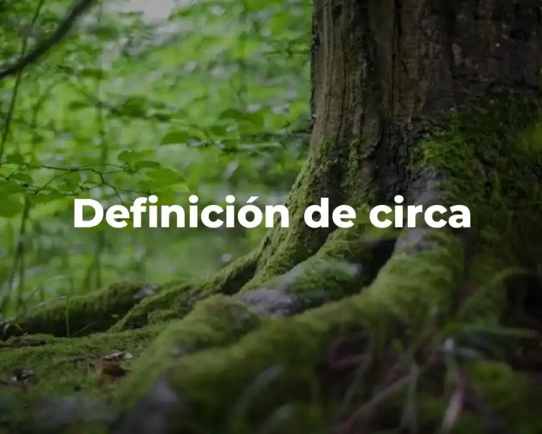 Definición de circa