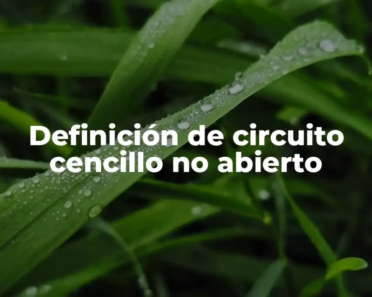 Definición de circuito cencillo no abierto