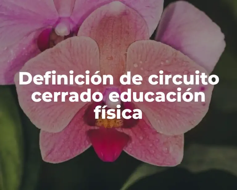 Definición de circuito cerrado educación física