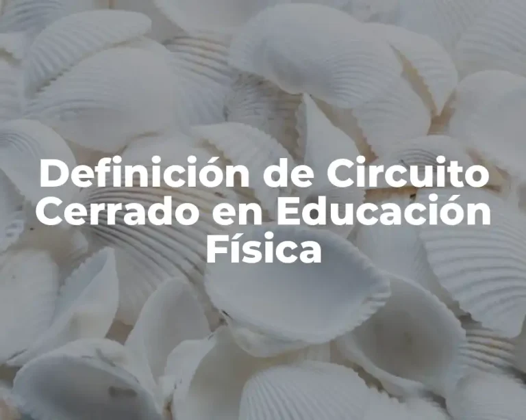 Definición de Circuito Cerrado en Educación Física