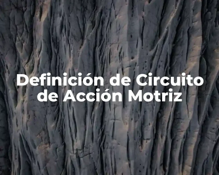 Definición de Circuito de Acción Motriz