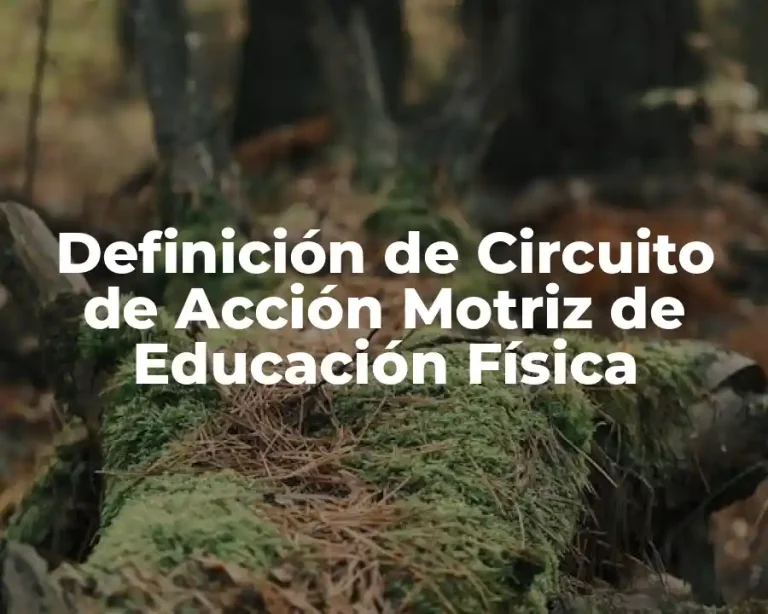 Definición de Circuito de Acción Motriz de Educación Física