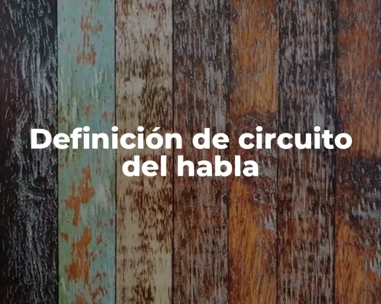 Definición de circuito del habla