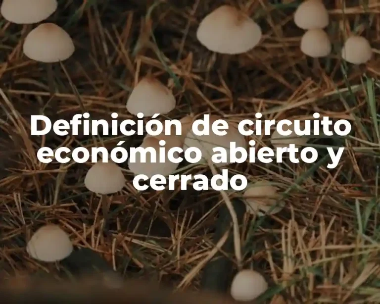 Definición de circuito económico abierto y cerrado