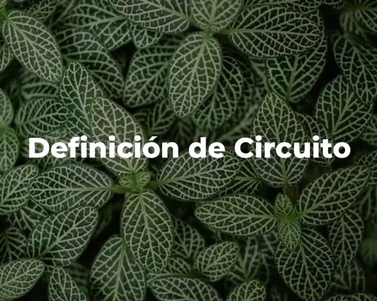 Definición de Circuito