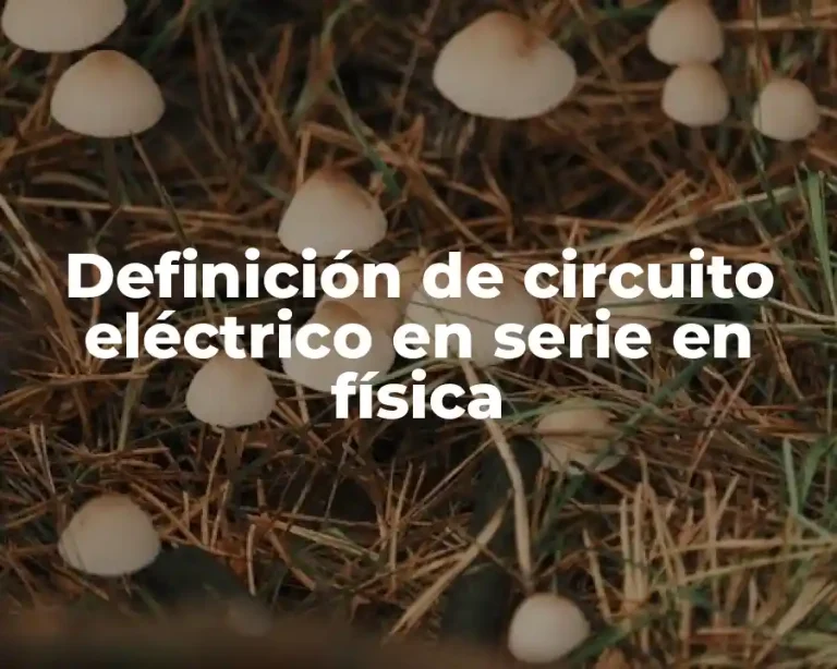 Definición de circuito eléctrico en serie en física