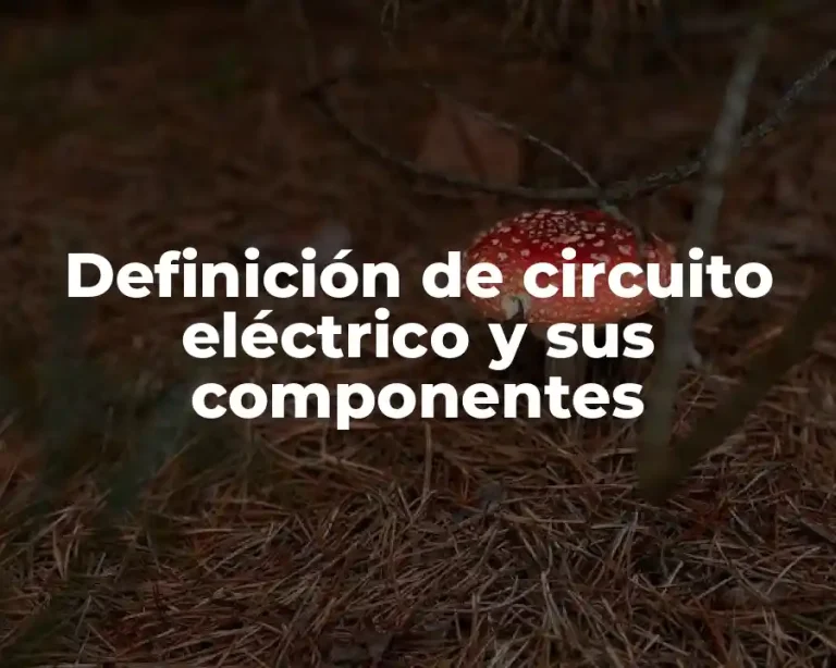 Definición de circuito eléctrico y sus componentes