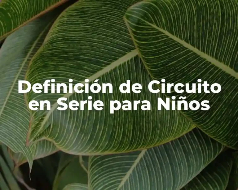 Definición de Circuito en Serie para Niños