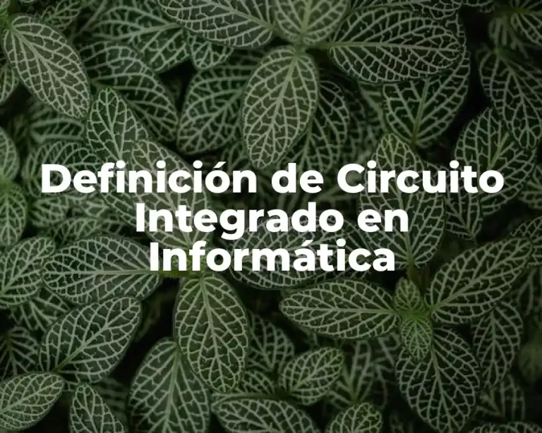 Definición de Circuito Integrado en Informática