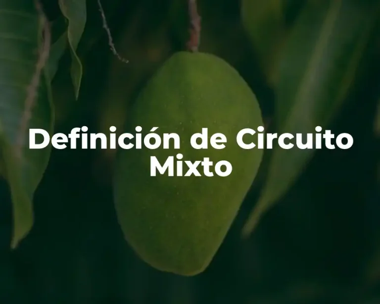 Definición de Circuito Mixto