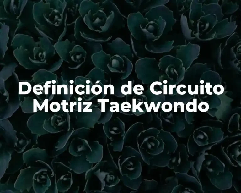 Definición de Circuito Motriz Taekwondo