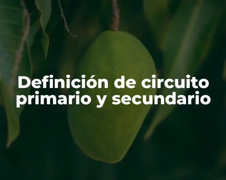 Definición de circuito primario y secundario