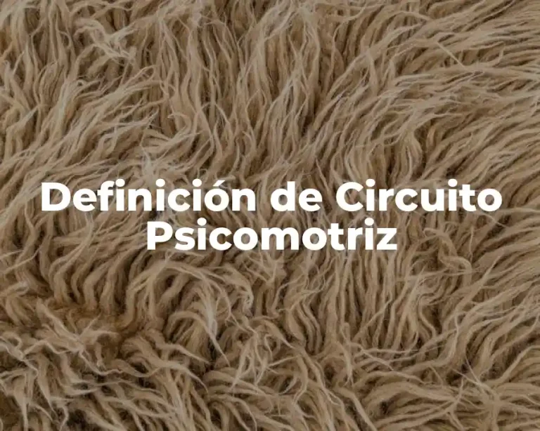 Definición de Circuito Psicomotriz