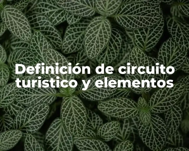 Definición de circuito turistico y elementos