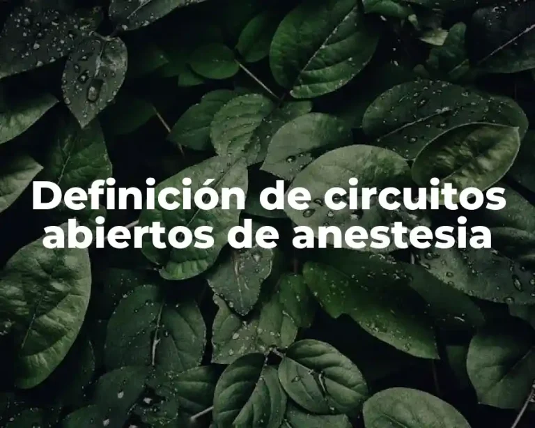 Definición de circuitos abiertos de anestesia