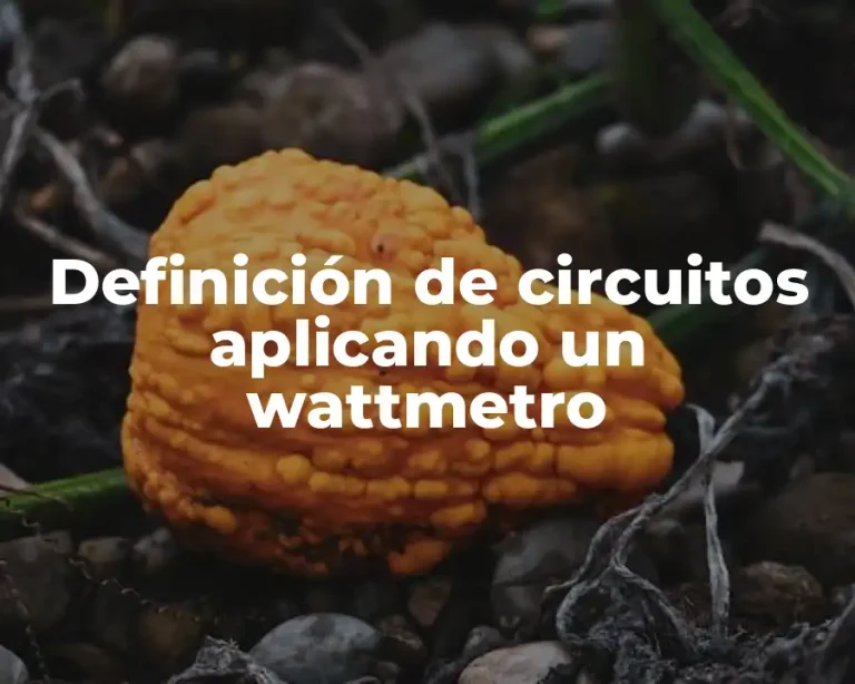 Definición de circuitos aplicando un wattmetro