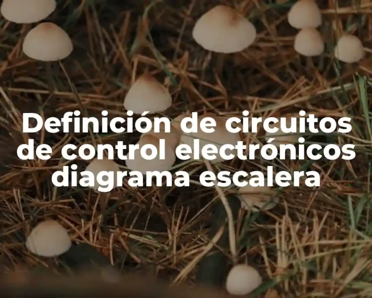Definición de circuitos de control electrónicos diagrama escalera