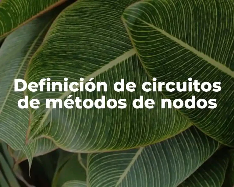 Definición de circuitos de métodos de nodos
