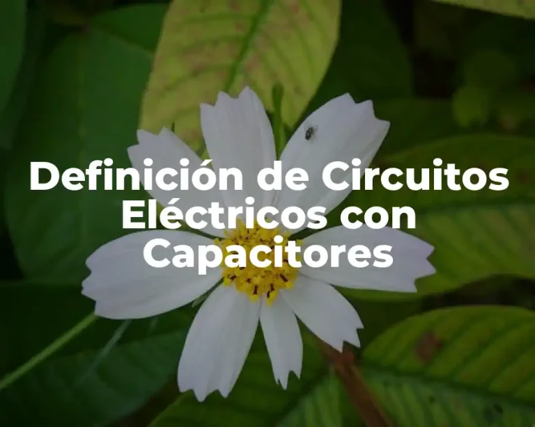 Definición de Circuitos Eléctricos con Capacitores