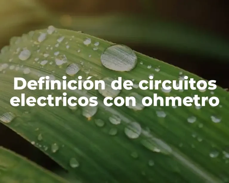 Definición de circuitos electricos con ohmetro