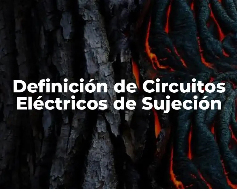 Definición de Circuitos Eléctricos de Sujeción