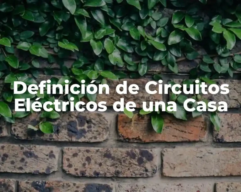Definición de Circuitos Eléctricos de una Casa