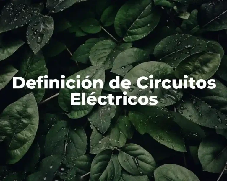 Definición de Circuitos Eléctricos
