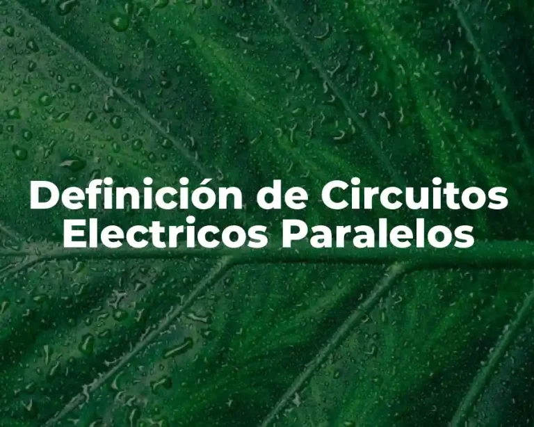Definición de Circuitos Electricos Paralelos