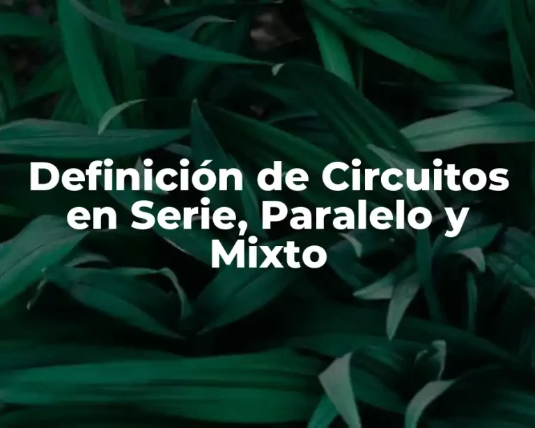Definición de Circuitos en Serie, Paralelo y Mixto