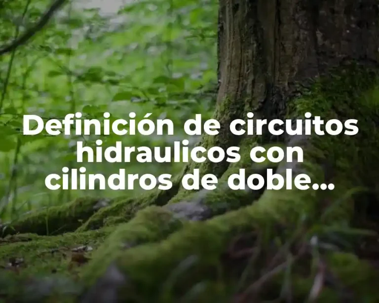 Definición de circuitos hidraulicos con cilindros de doble efecto