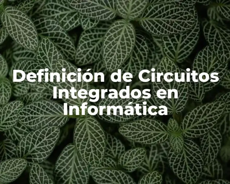 Definición de Circuitos Integrados en Informática