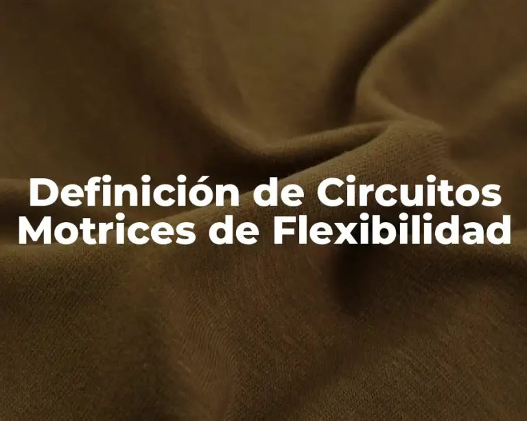 Definición de Circuitos Motrices de Flexibilidad