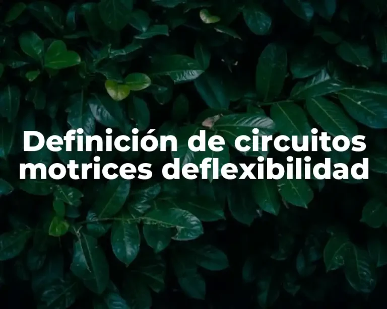 Definición de circuitos motrices deflexibilidad
