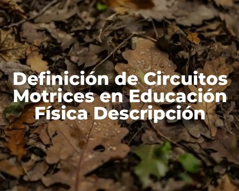 Definición de Circuitos Motrices en Educación Física Descripción