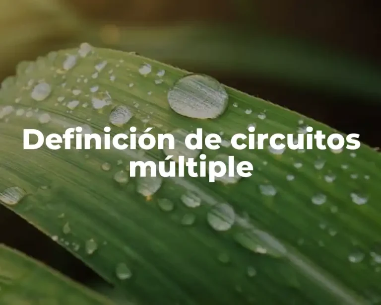 Definición de circuitos múltiple