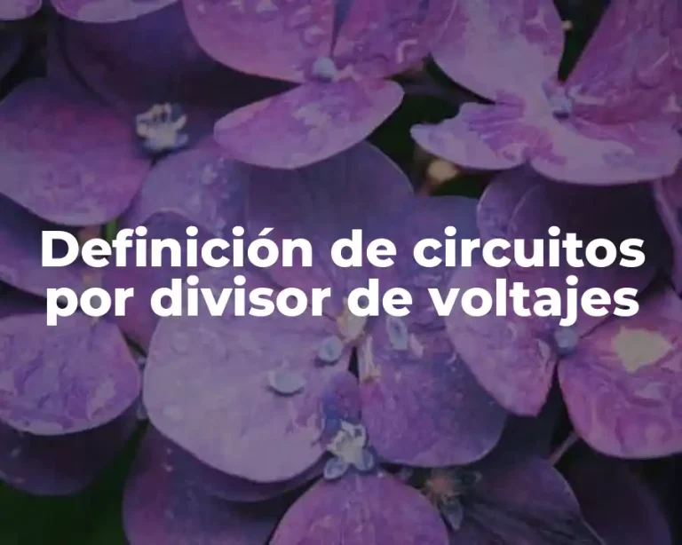 Definición de circuitos por divisor de voltajes