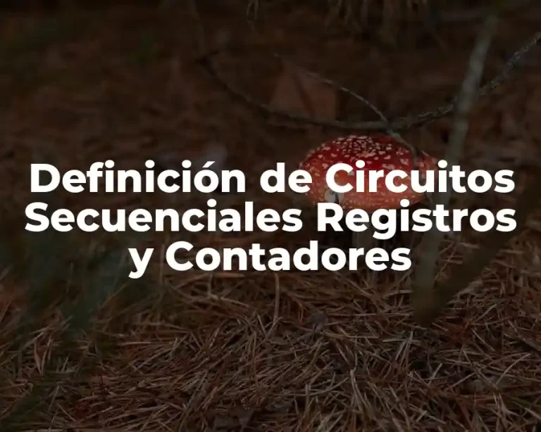 Definición de Circuitos Secuenciales Registros y Contadores