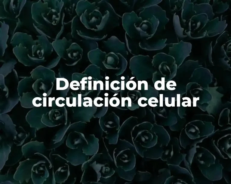 Definición de circulación celular