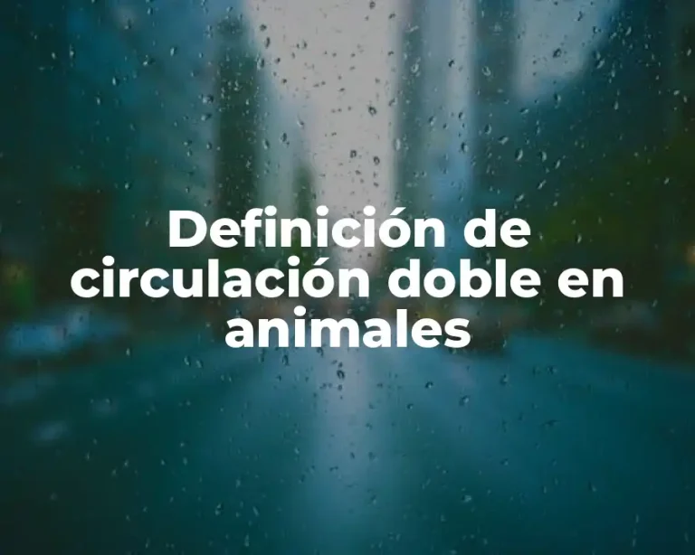 Definición de circulación doble en animales