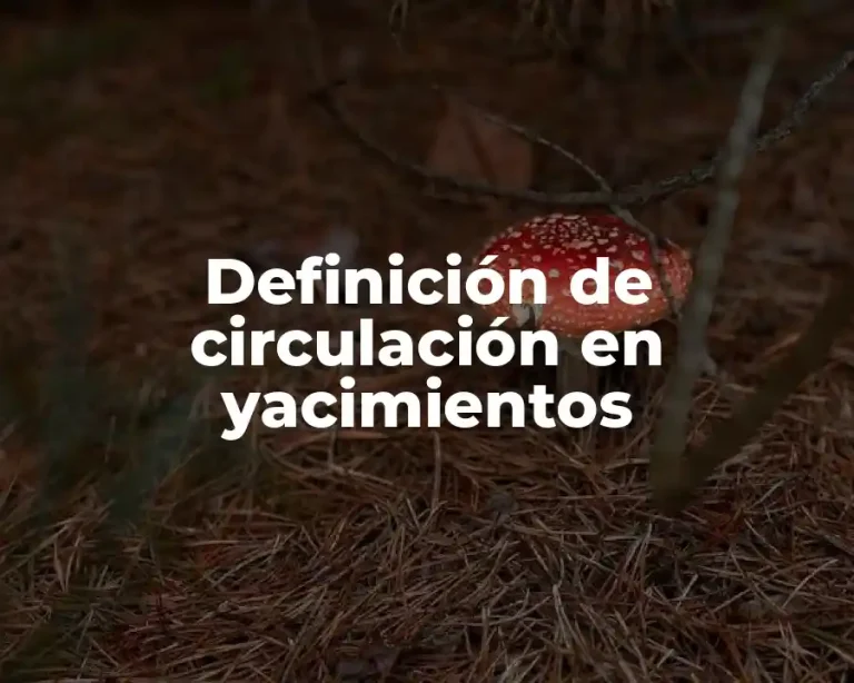 Definición de circulación en yacimientos