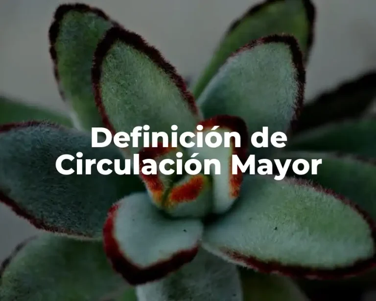 Definición de Circulación Mayor