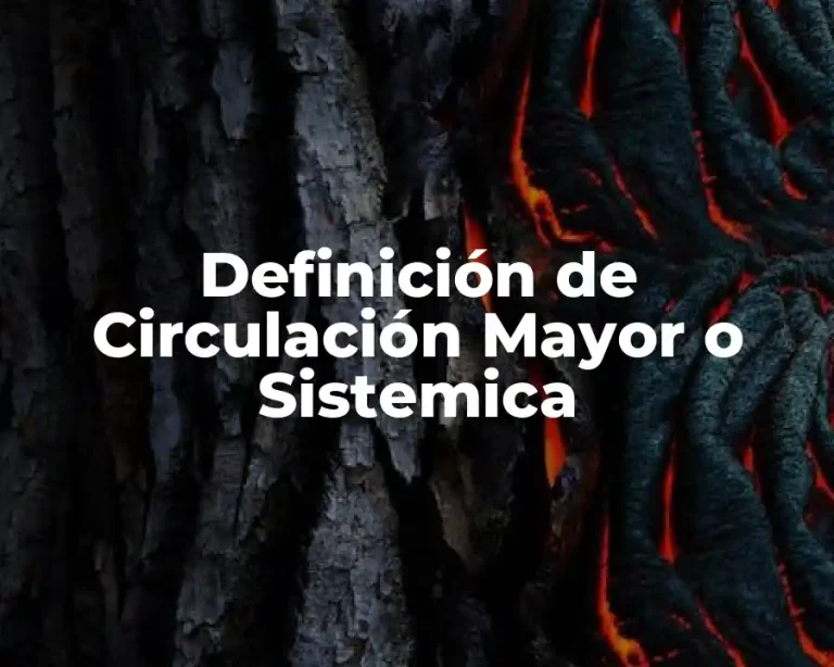 Definición de Circulación Mayor o Sistemica
