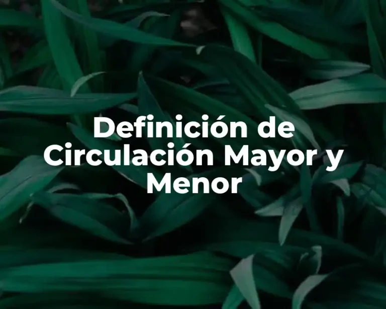 Definición de Circulación Mayor y Menor