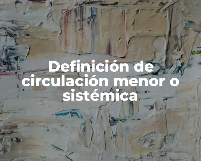 Definición de circulación menor o sistémica