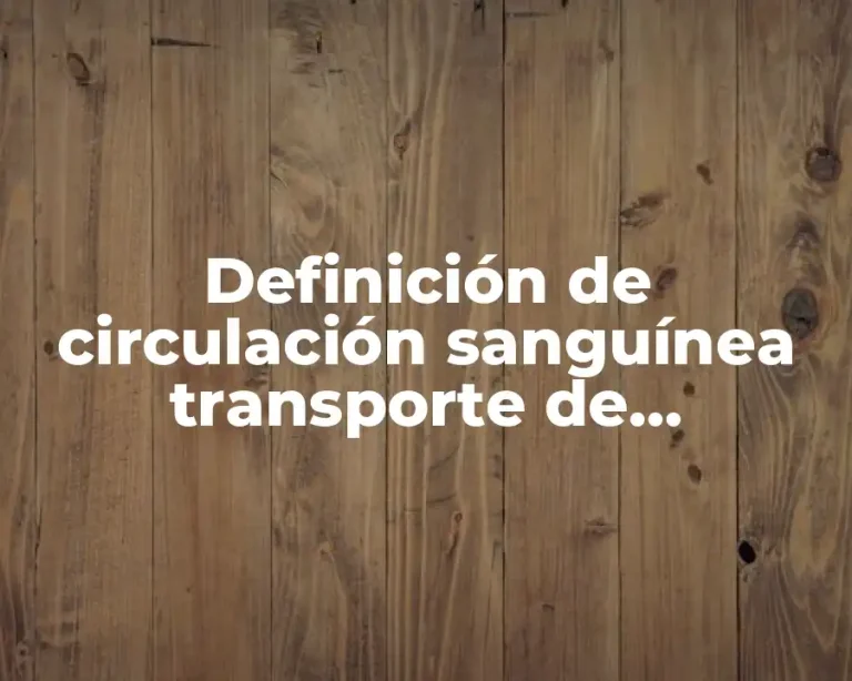 Definición de circulación sanguínea transporte de sustancias