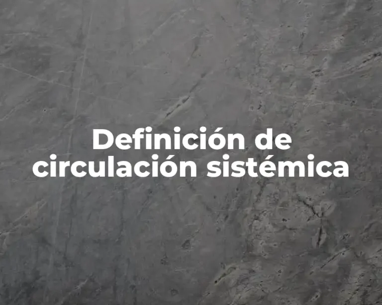 Definición de circulación sistémica