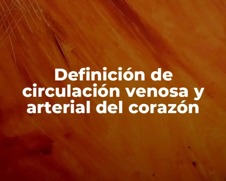 Definición de circulación venosa y arterial del corazón