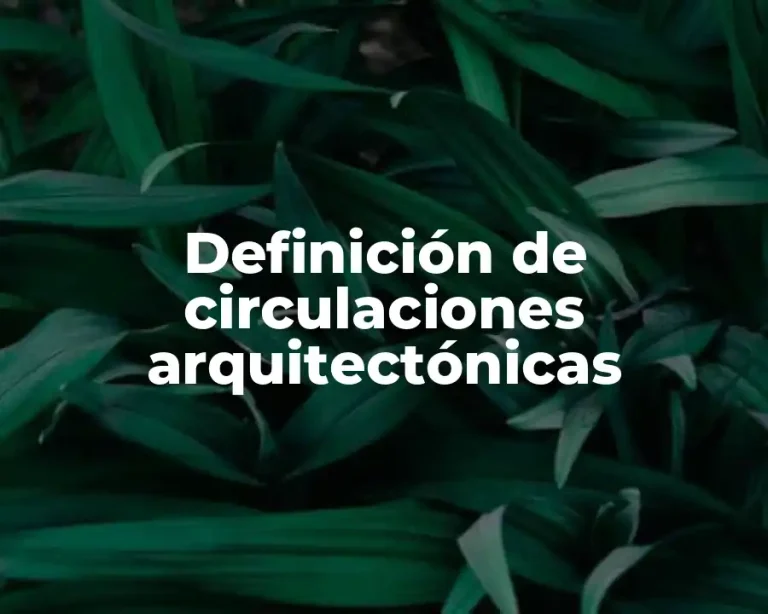 Definición de circulaciones arquitectónicas