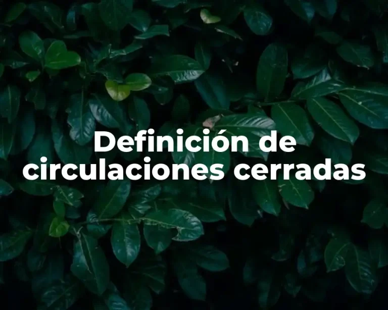 Definición de circulaciones cerradas