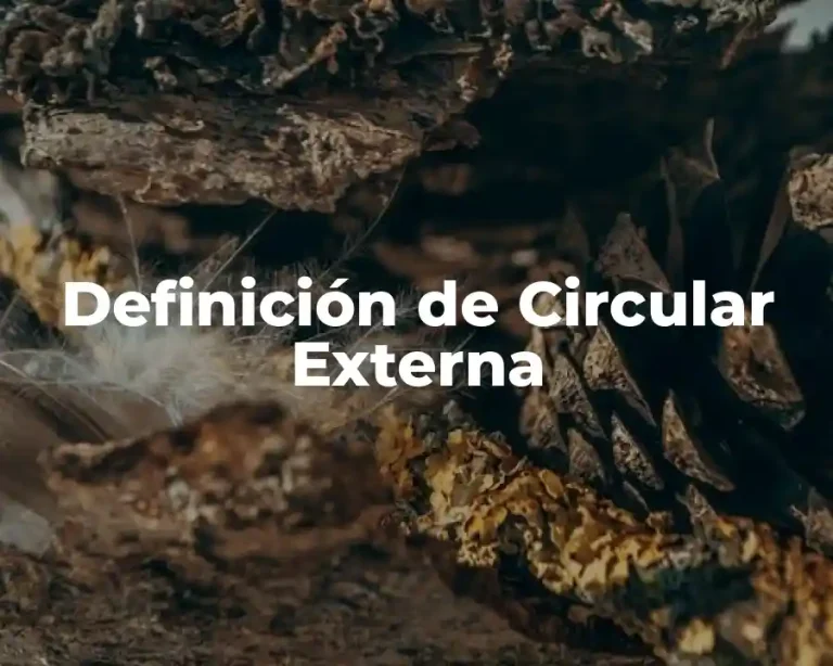 Definición de Circular Externa